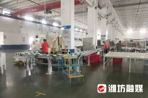 企業調研行 恒聯集團 老造紙廠有個 上市夢